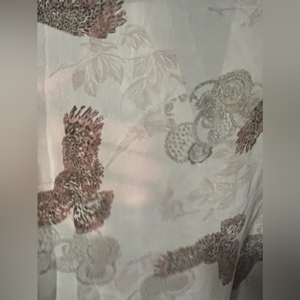 Sheer Blouse - Picture 4 of 9